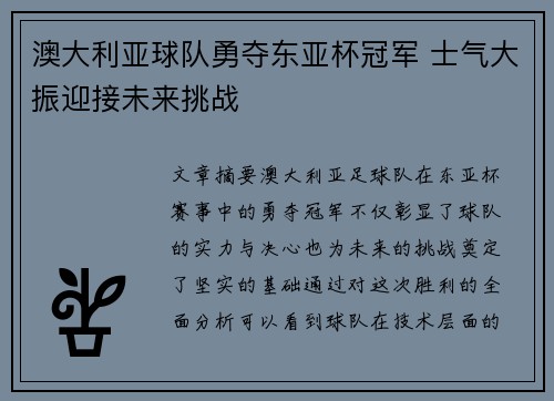 澳大利亚球队勇夺东亚杯冠军 士气大振迎接未来挑战