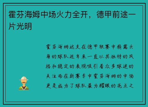 霍芬海姆中场火力全开，德甲前途一片光明
